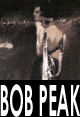 Bob Peak
